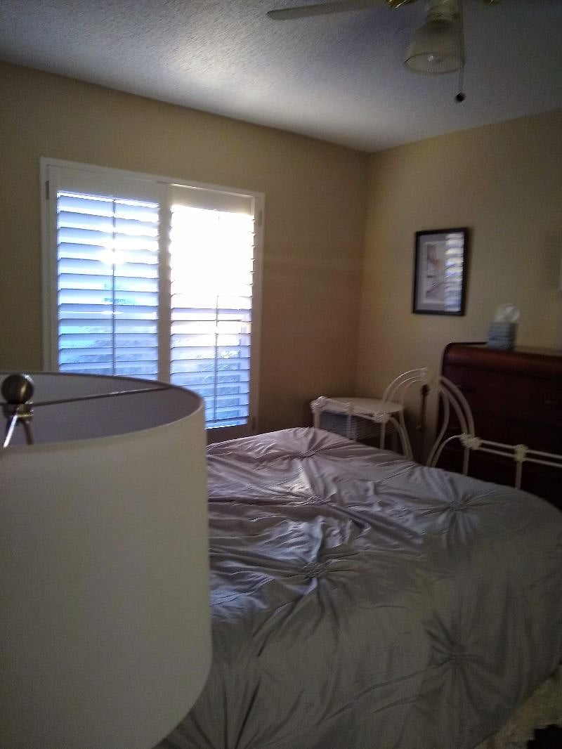Furnished Finder property 353351_1 photo 6