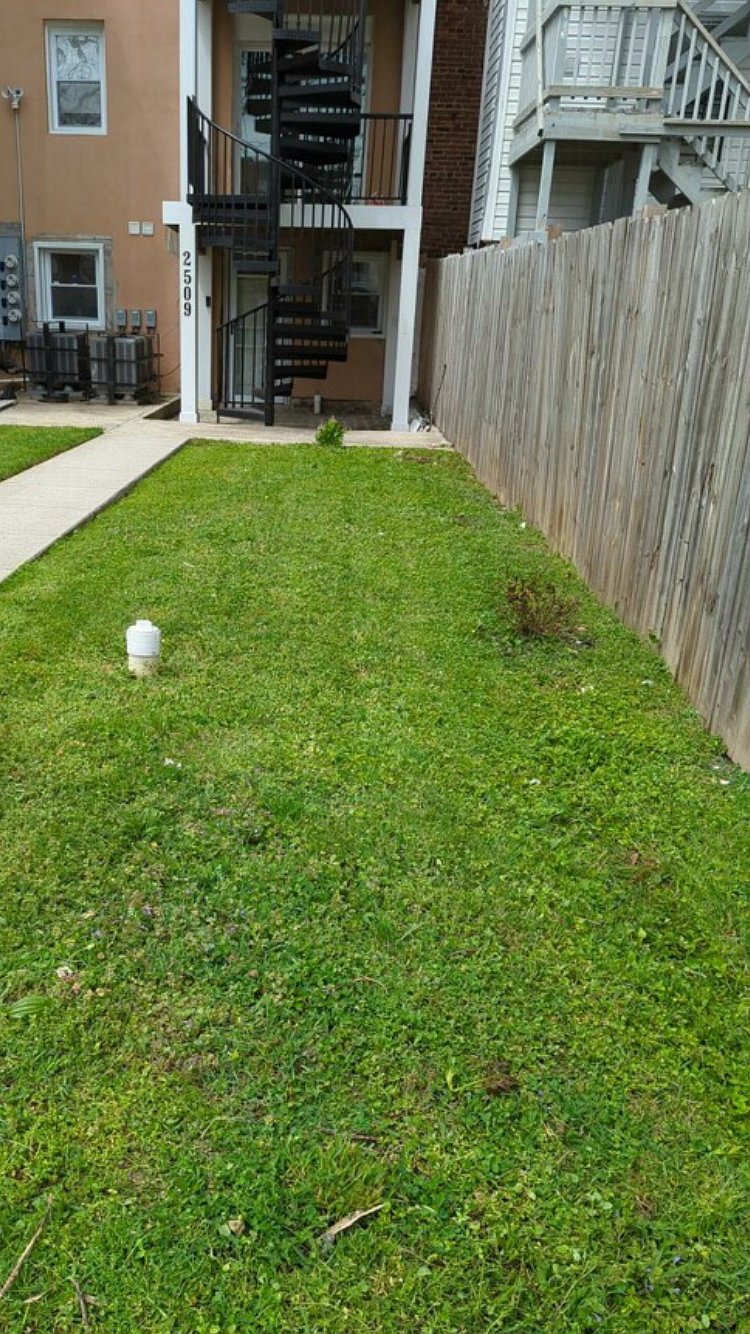 Furnished Finder property 353378_1 photo 39