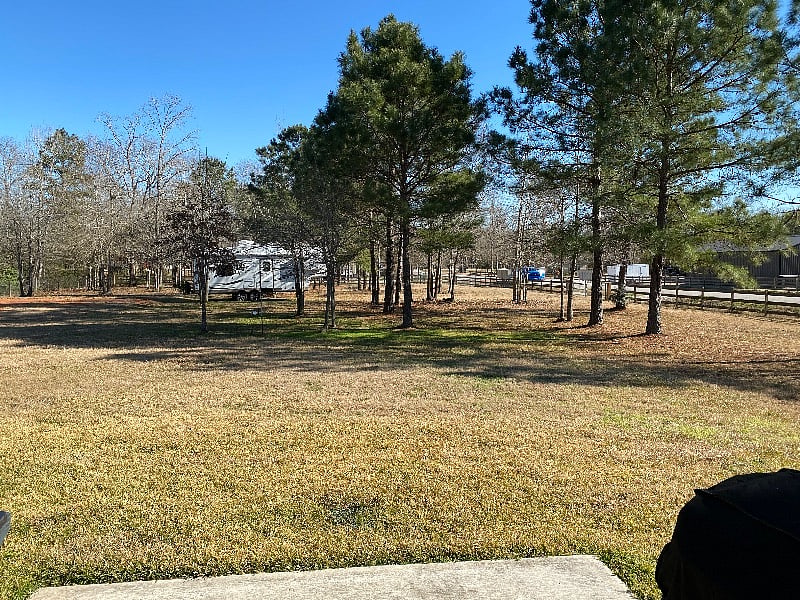 Furnished Finder property 353691_1 photo 23