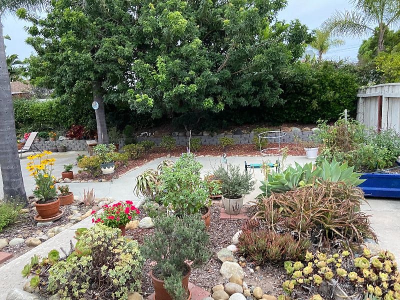 Furnished Finder property 353882_1 photo 3