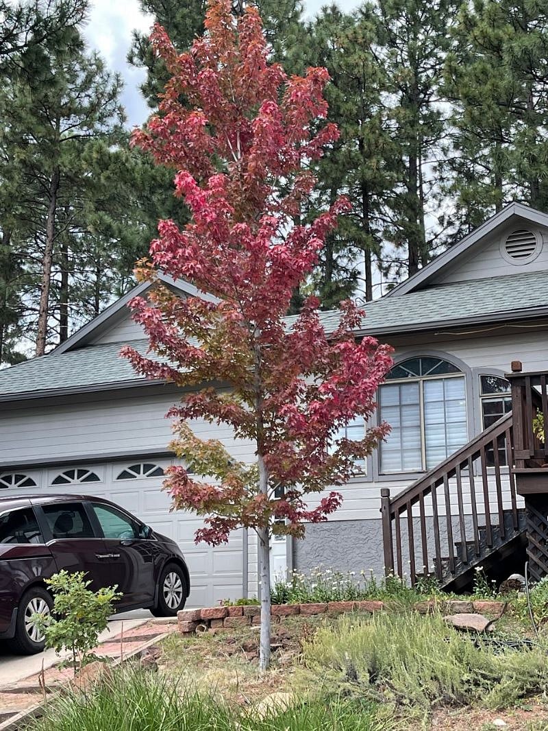 Located in a quiet residential neighborhood