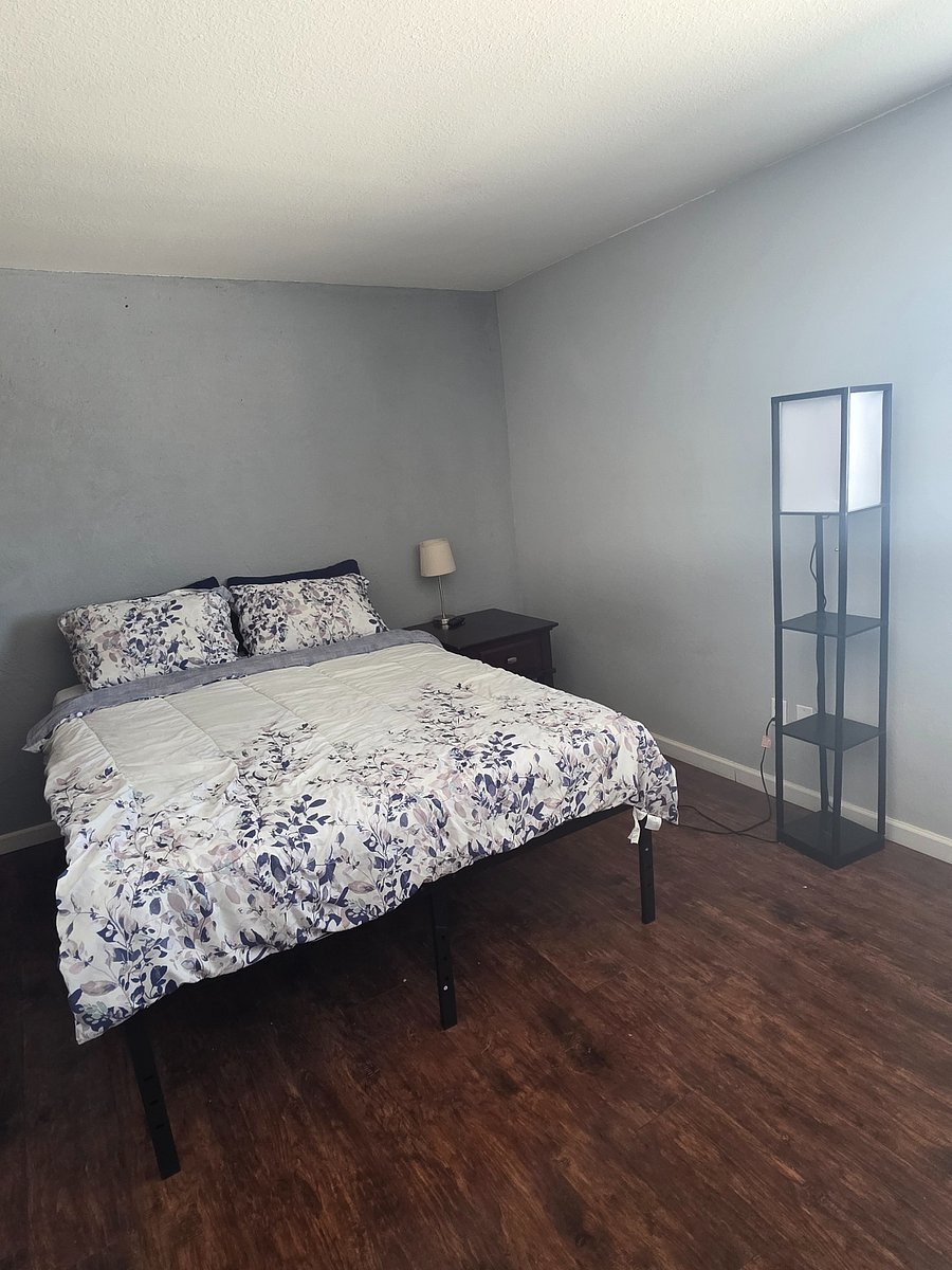 Furnished Finder property 354052_1 photo 11