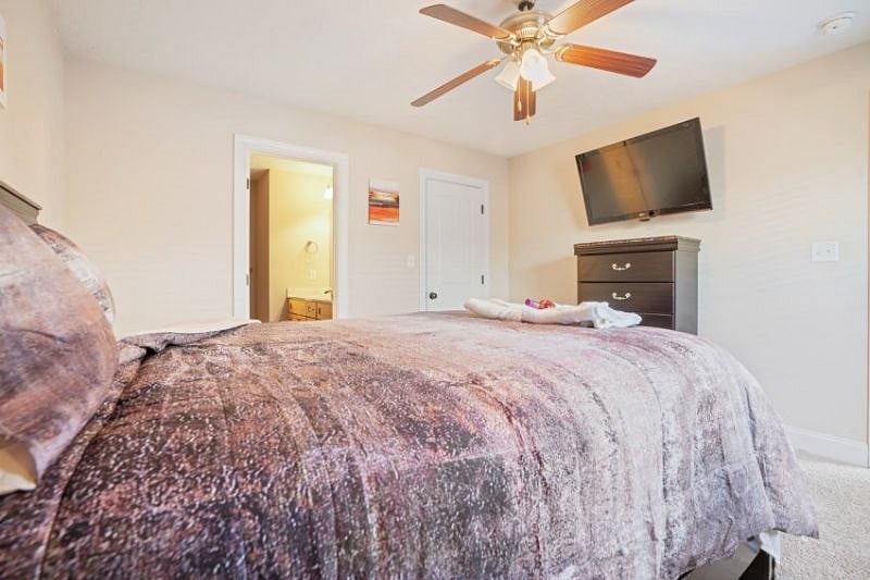Furnished Finder property 354057_1 photo 24