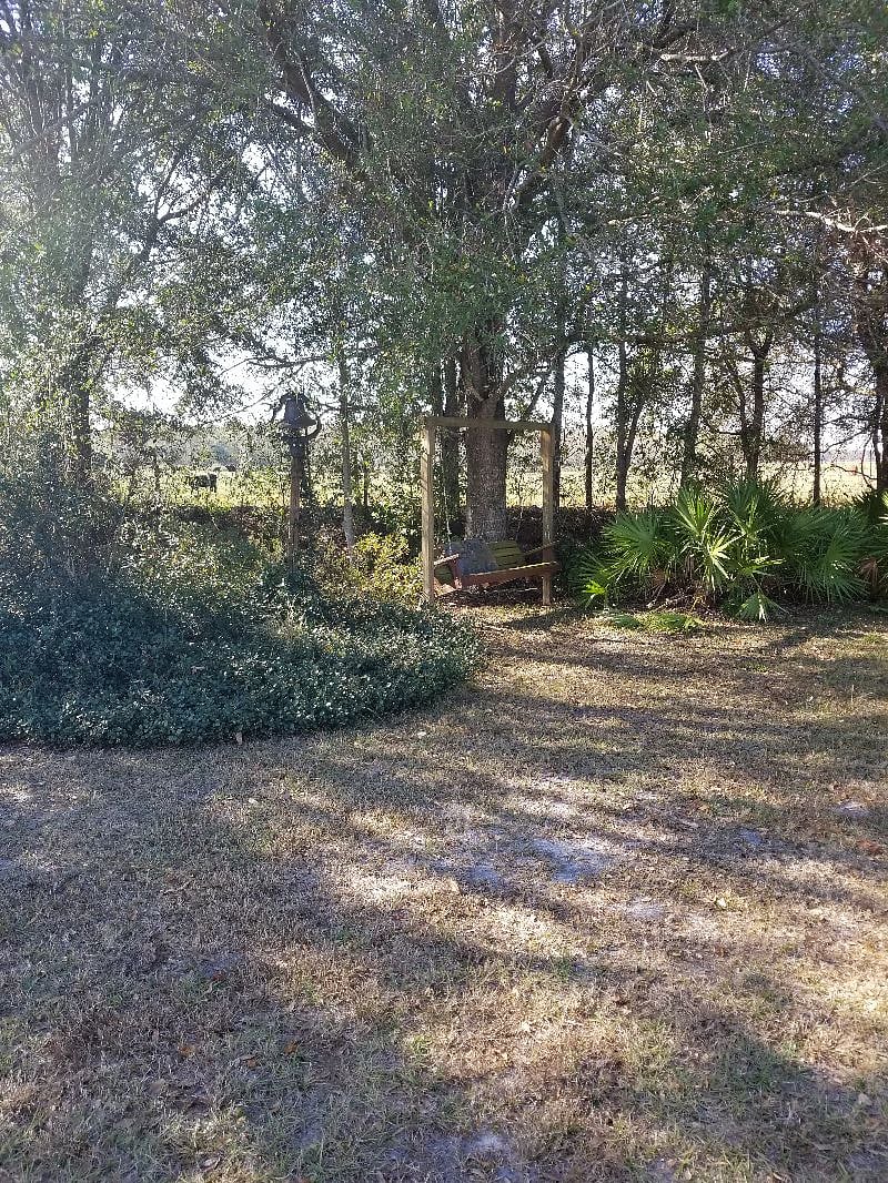Furnished Finder property 354094_1 photo 11