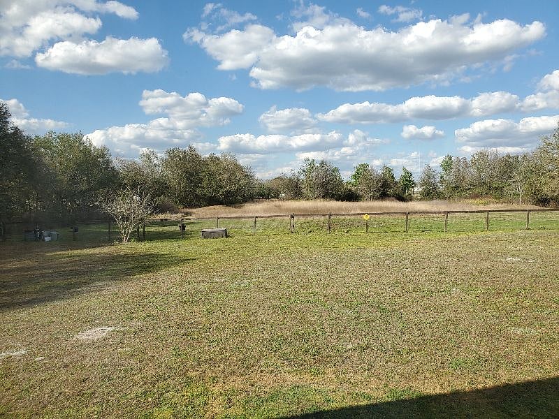 Furnished Finder property 354094_1 photo 17
