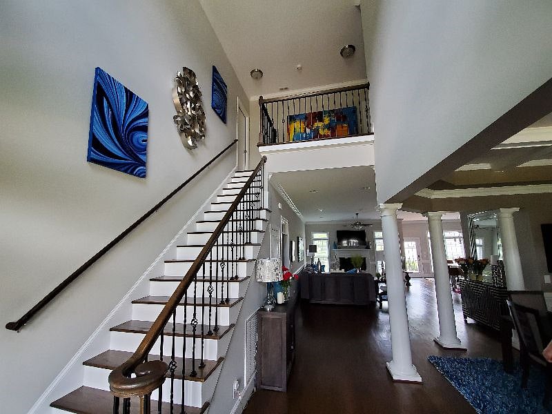 Furnished Finder property 354100_1 photo 29