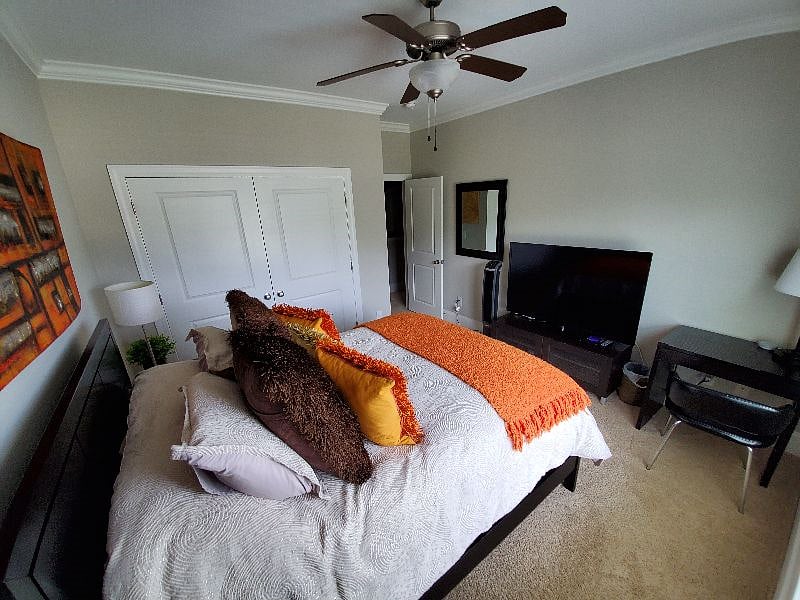 Furnished Finder property 354100_1 photo 4