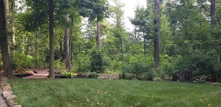 View from your patio, which is directly outside your bedroom exterior door.
