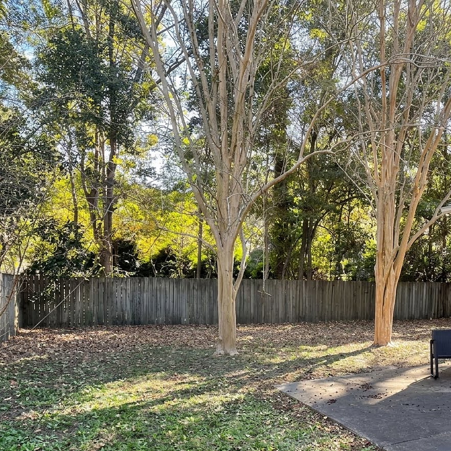 Furnished Finder property 354336_1 photo 8