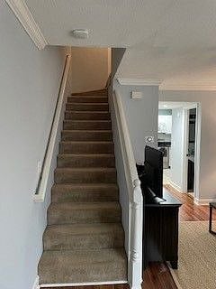 Furnished Finder property 354393_1 photo 7