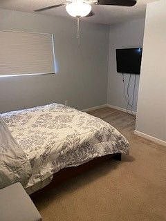 Furnished Finder property 354393_1 photo 13