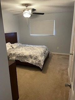 Furnished Finder property 354393_1 photo 15