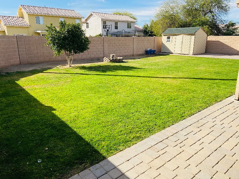 Spacious backyard 