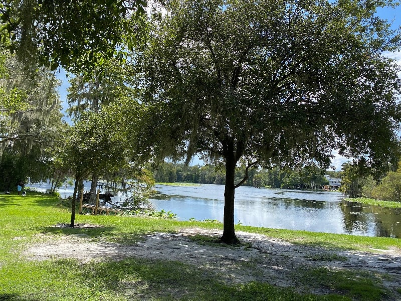 Furnished Finder property 354753_1 photo 13