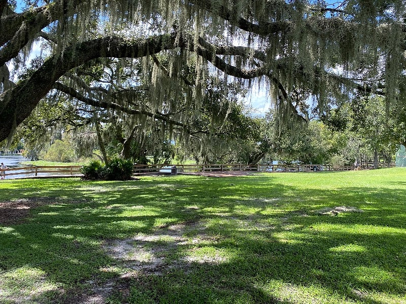 Furnished Finder property 354753_1 photo 15