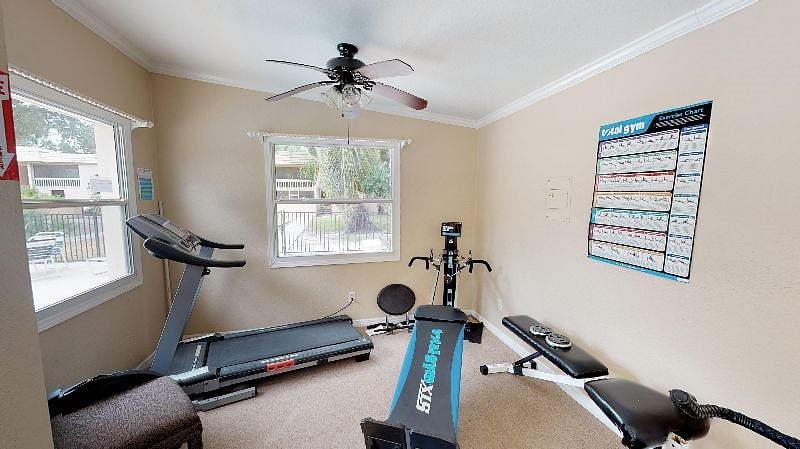 Furnished Finder property 354974_1 photo 31