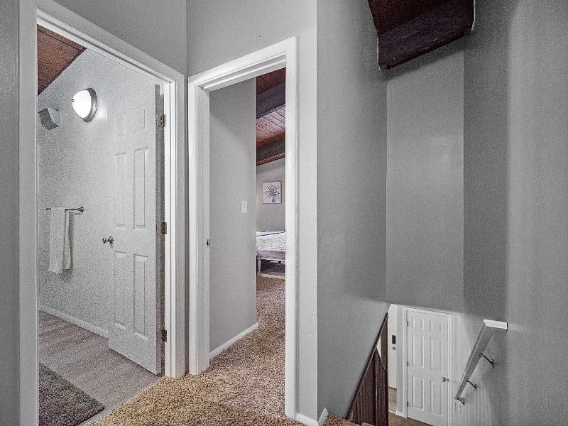 Furnished Finder property 355298_1 photo 12