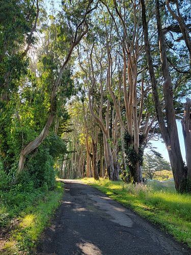5 minutes walk to San Bruno Mountain Park
