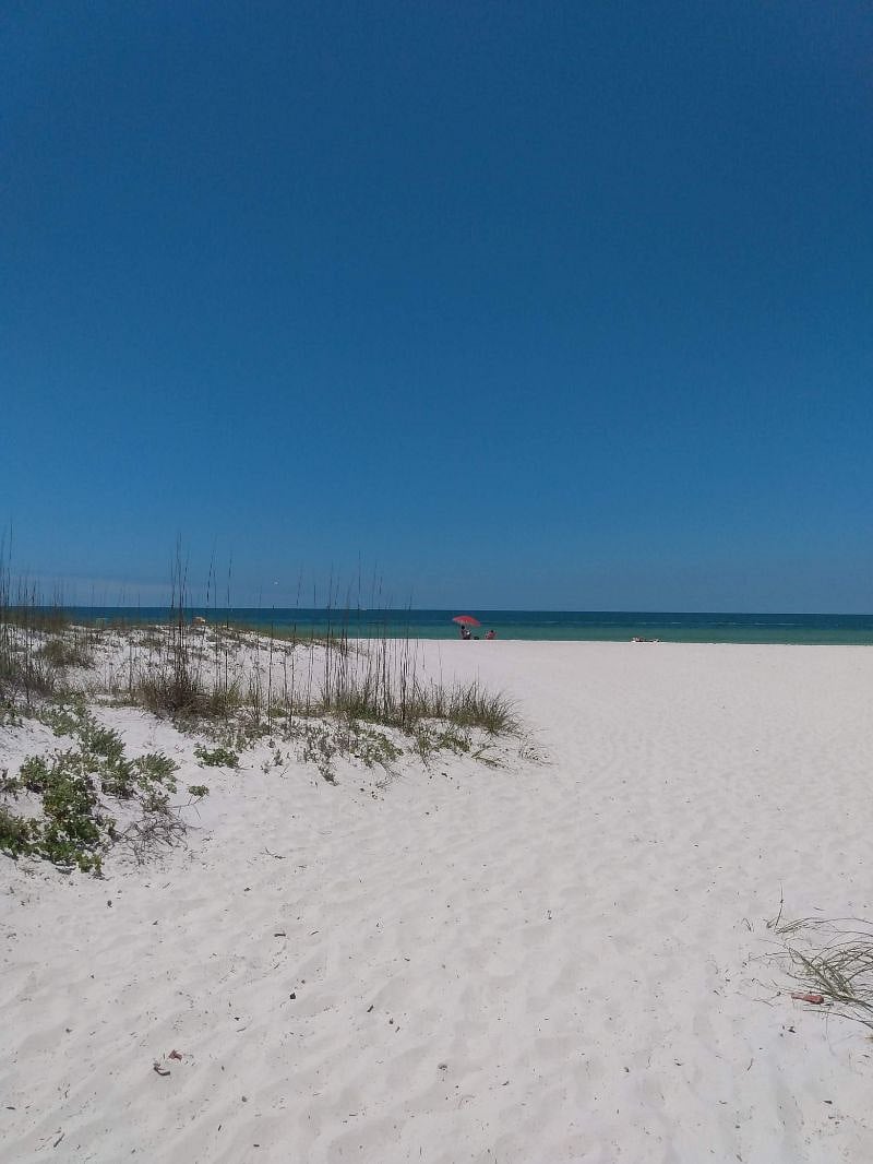 Furnished Finder property 355461_1 photo 23