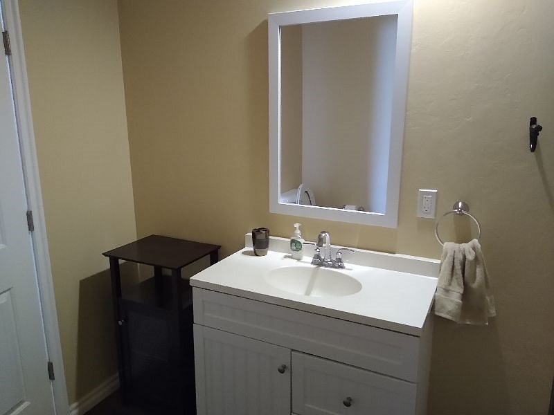 Bath sink