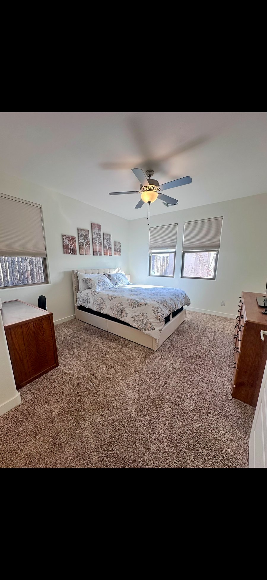 Furnished Finder property 355578_1 photo 9