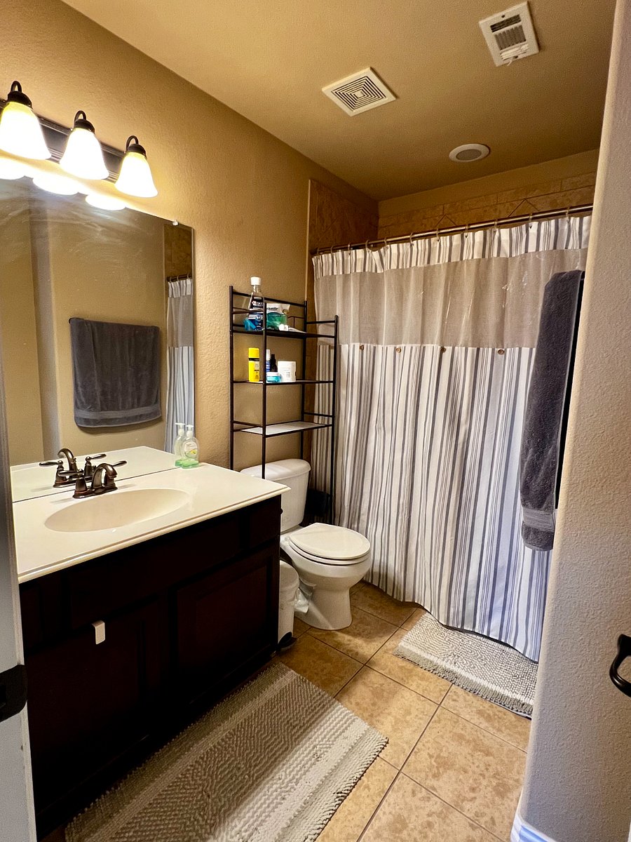 Furnished Finder property 355584_1 photo 9