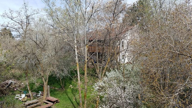 View from the street in the early spring. In the summer the house is mostly hidden from view.