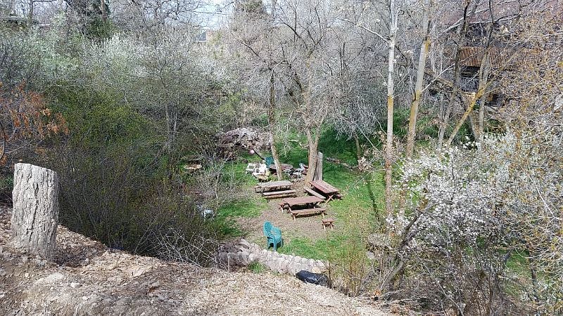 The gully just greening up at the end of winter.