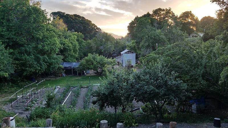 The farm and barn in early summer. This is located a couple of minutes down a beautiful wooded path at the back of the gully.