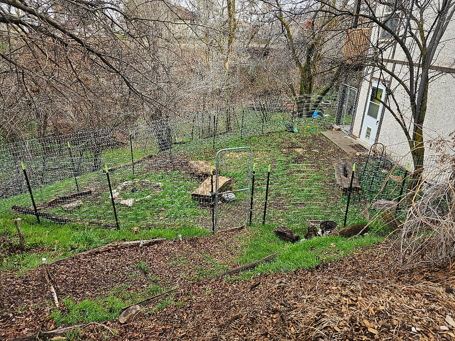 Fenced yard for Dogs. Also space for a firepit.