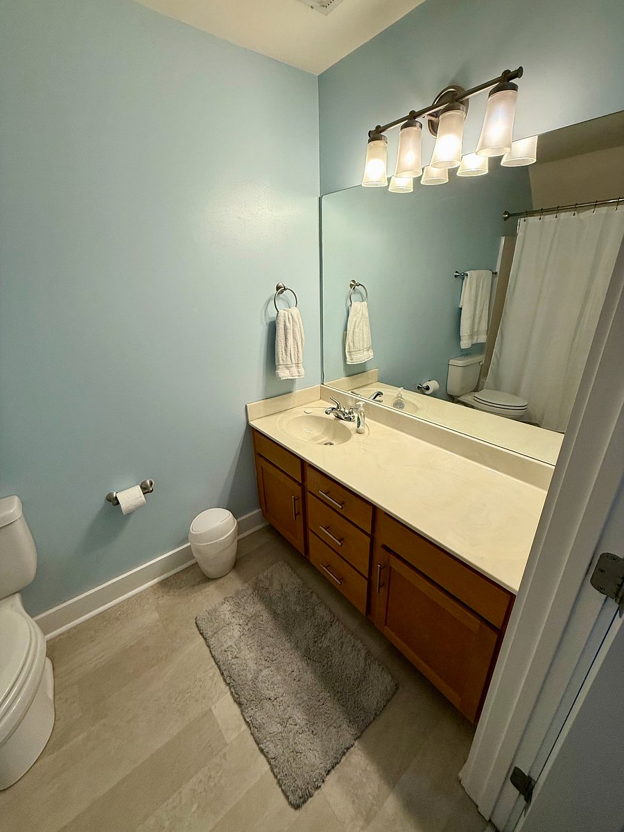 Furnished Finder property 355734_1 photo 13