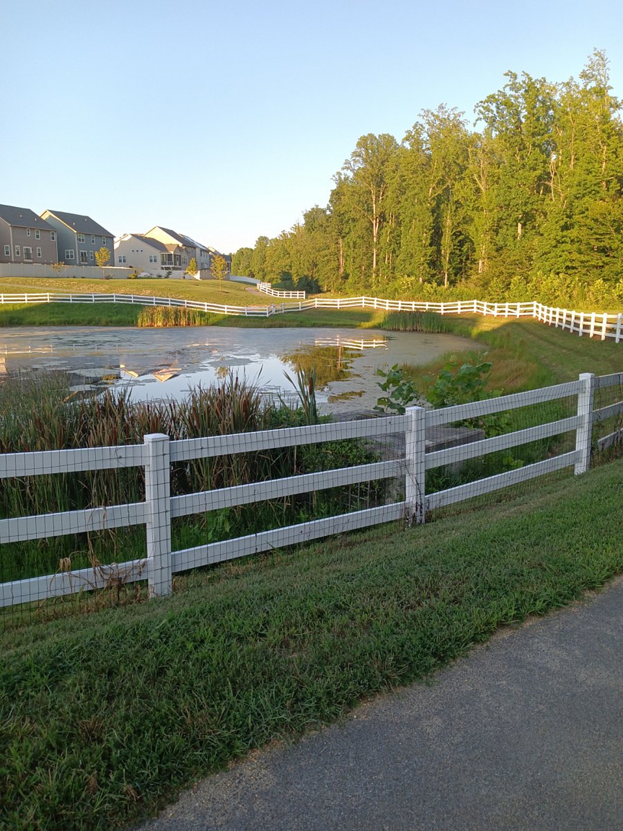 Furnished Finder property 355804_2 photo 21