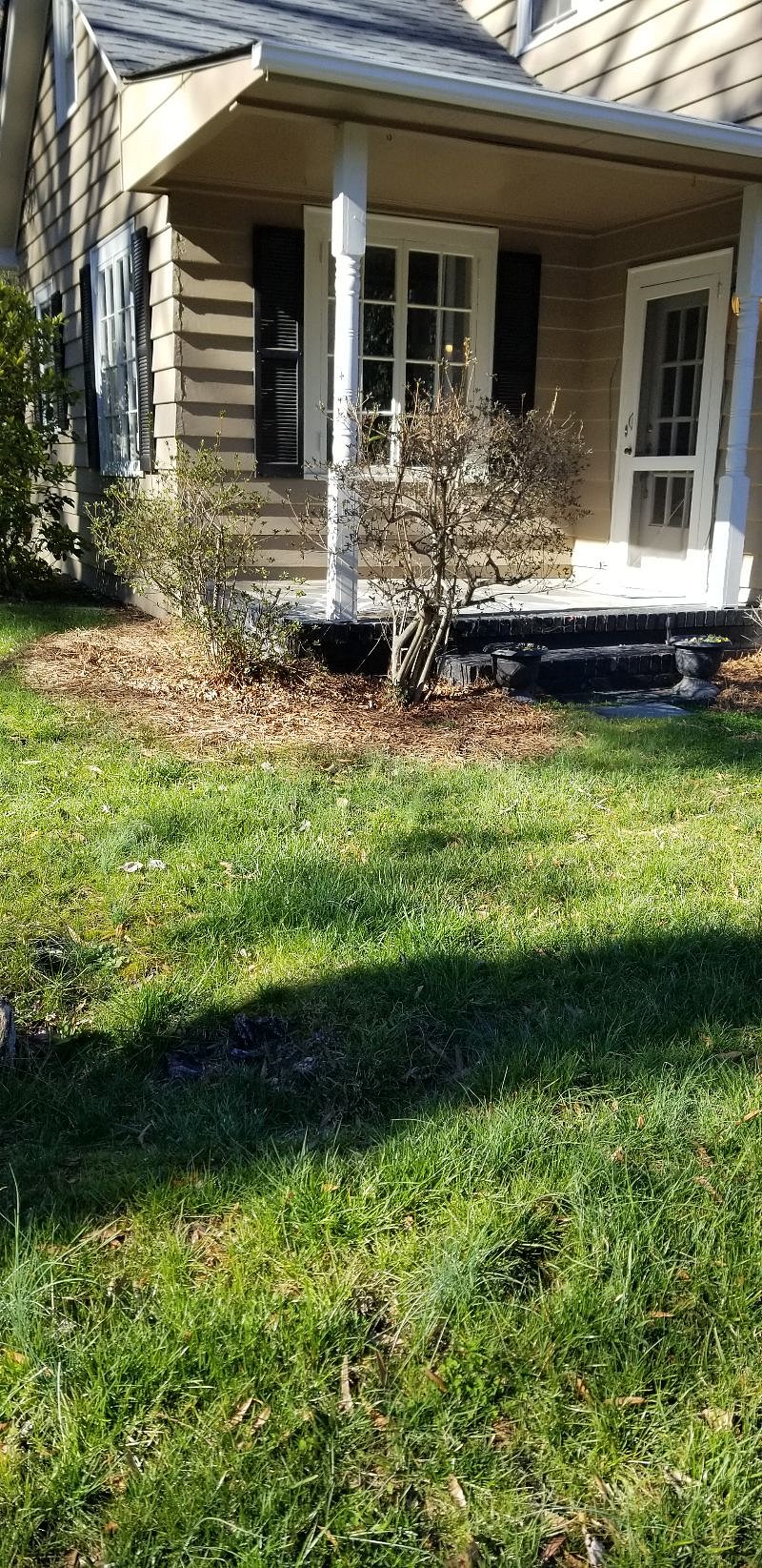 Furnished Finder property 355827_1 photo 3