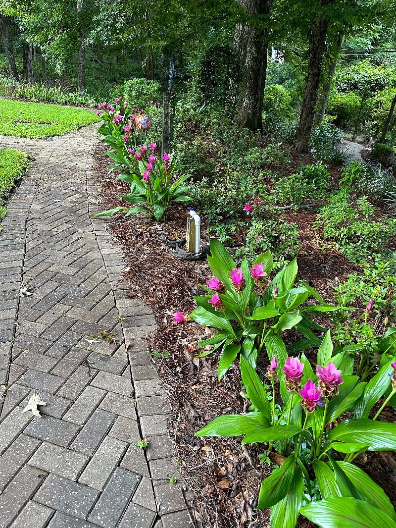 Belle Terre, Go for a walk in the Gardens. Some thing is always blooming.