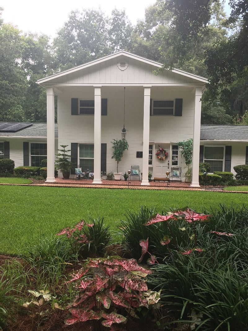 Laurel oaks, Live Oaks, sugar, maples, 2.5 acres of lush greenery.