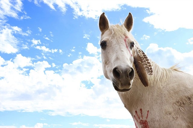 our pony Tattoo