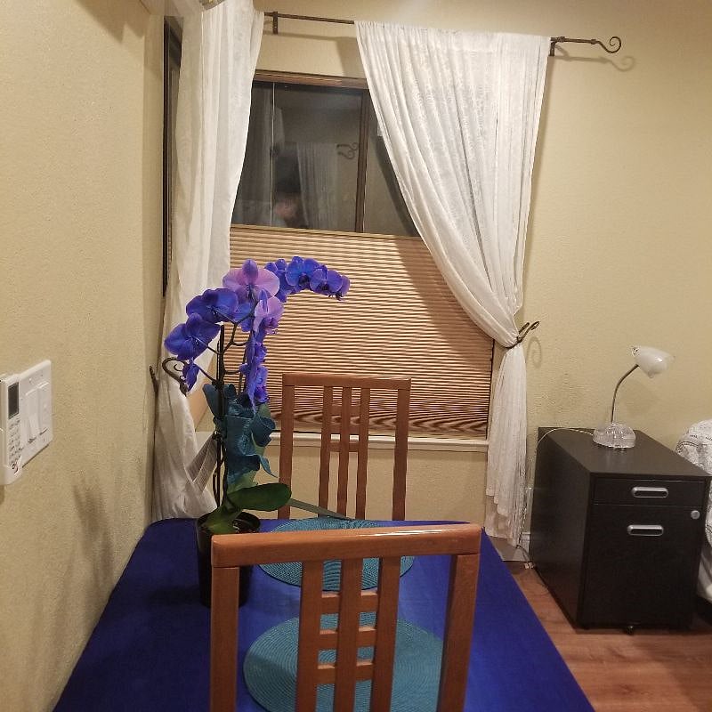 Furnished Finder property 356296_1 photo 8