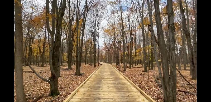 Furnished Finder property 356436_1 photo 33