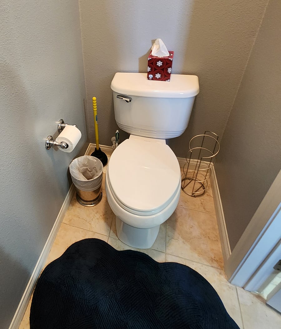 separate toilet in its own little room with door.