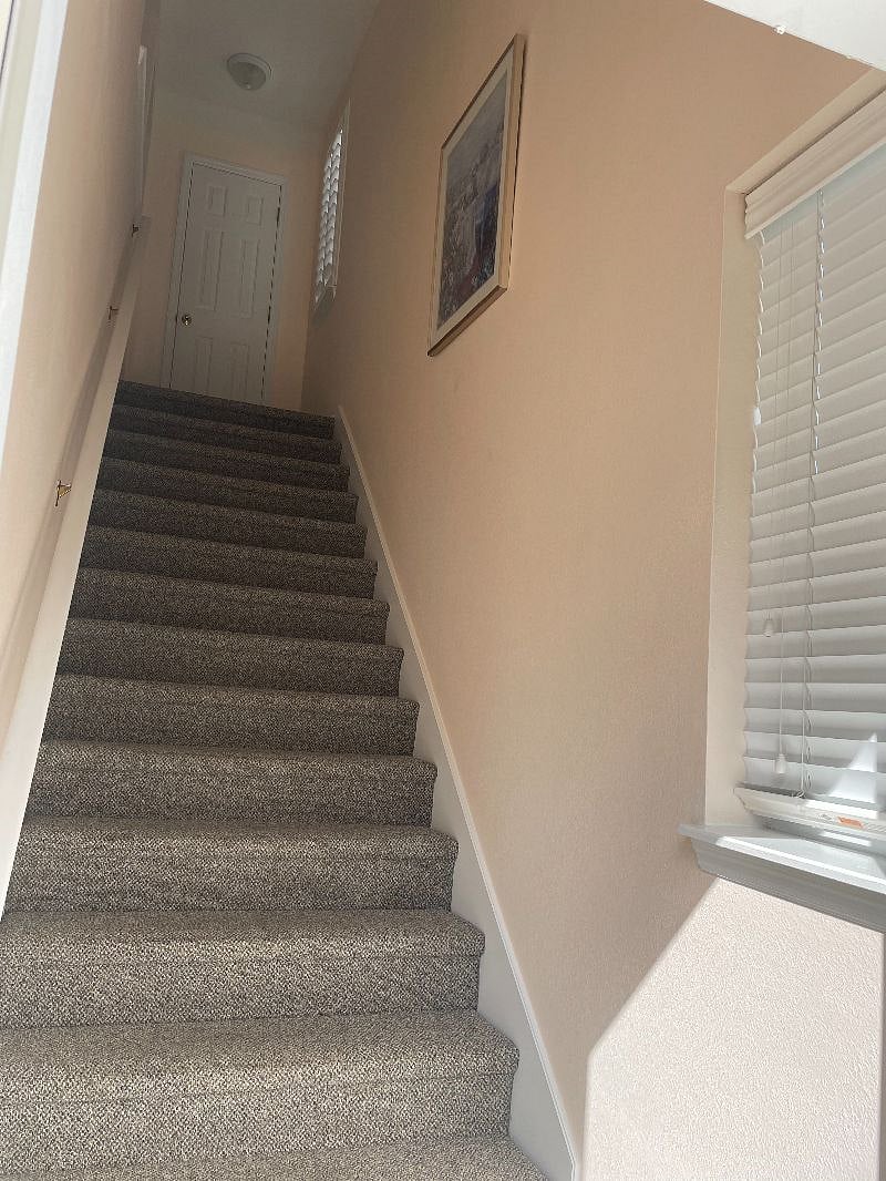 Furnished Finder property 356492_1 photo 5