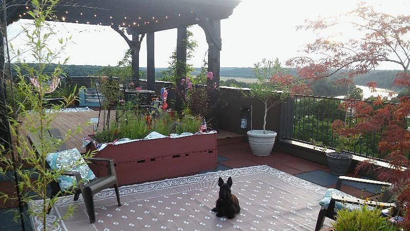 roof top garden.  Come relax and enjoy a good book!