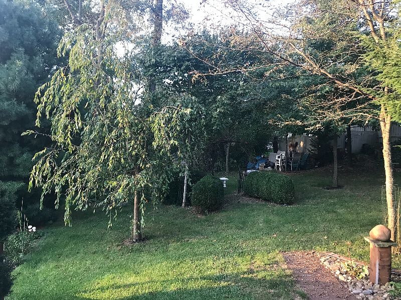 Furnished Finder property 356734_1 photo 31