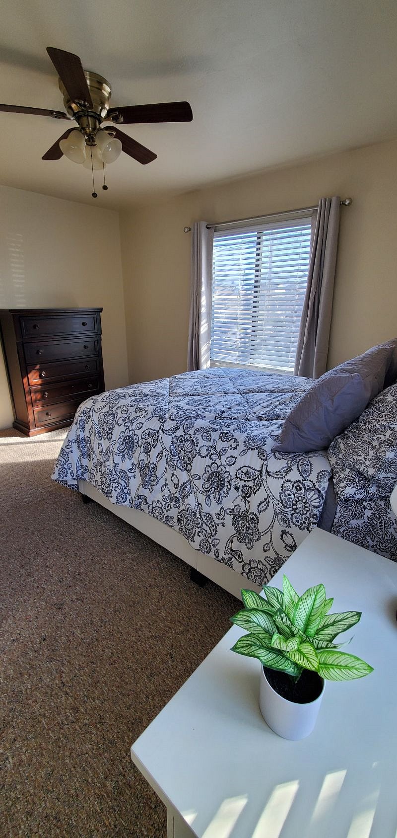 Furnished Finder property 356924_1 photo 13