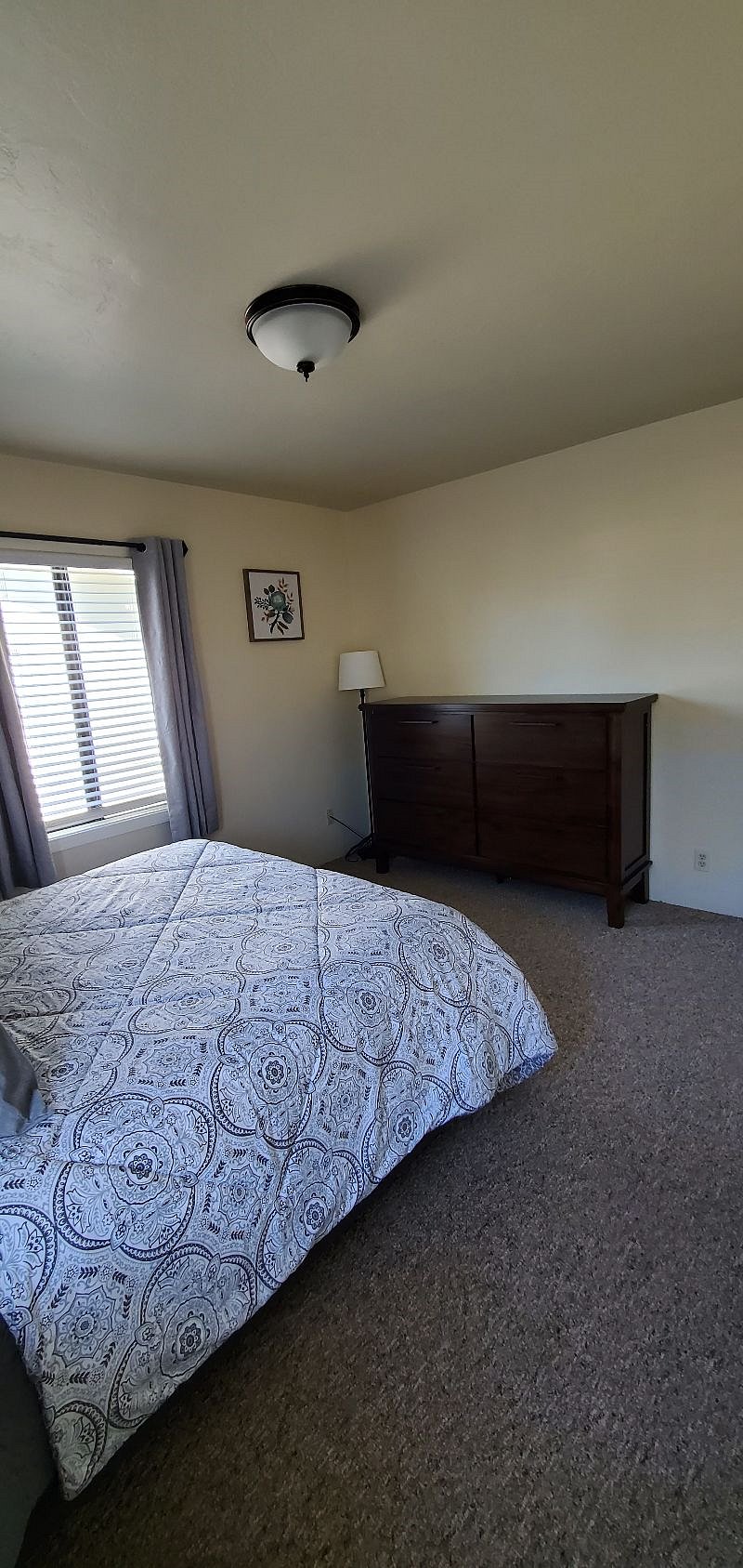 Furnished Finder property 356924_1 photo 20