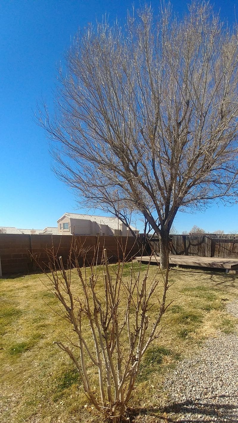 Furnished Finder property 357654_1 photo 11