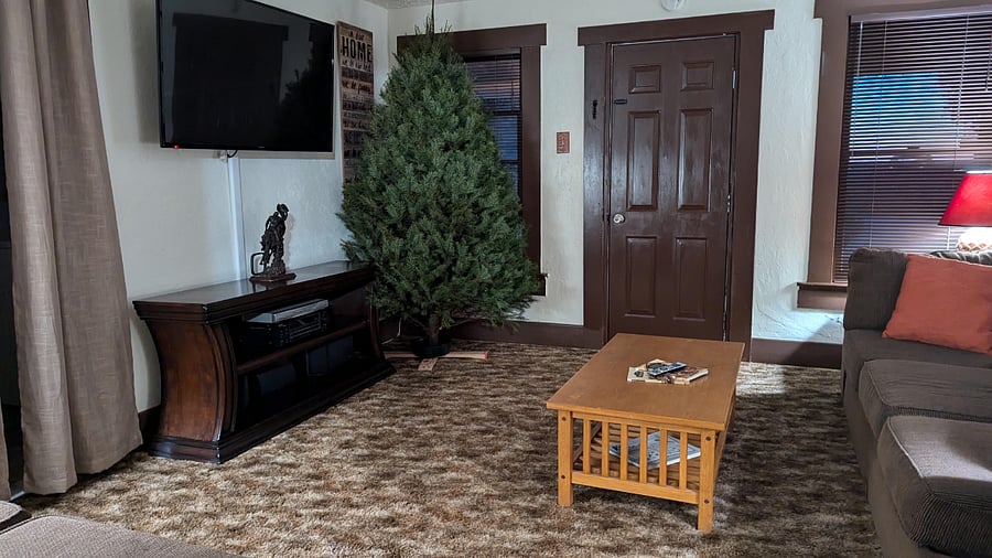 Furnished Finder property 358015_1 photo 18