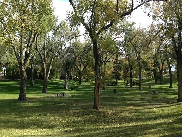 Roosevelt Park in Summer (directly across the street)