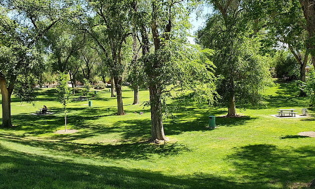 Gorgeous Roosevelt Park directly across the street.  Great for walks, sunbathing, occasional sledding in the winter!