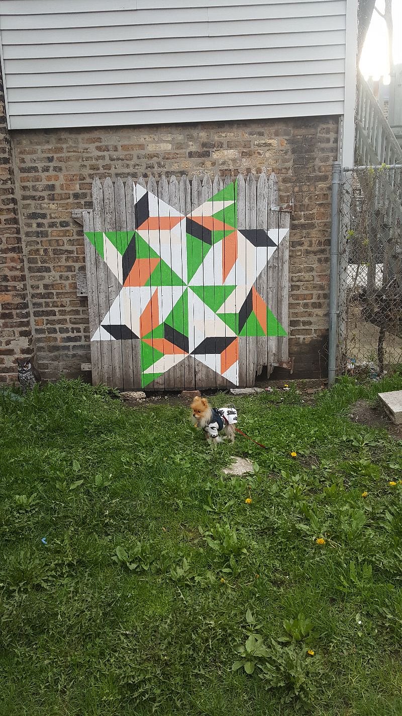 Cute back yard