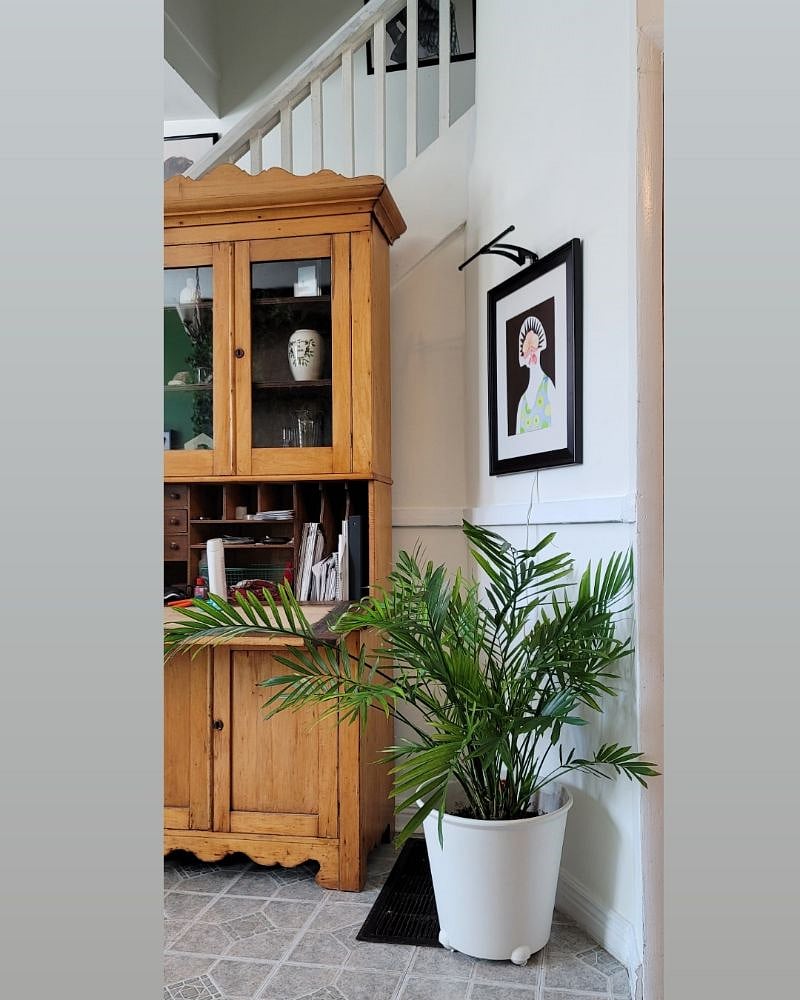 Lots of art and live plants for your mental health!